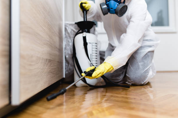 Best Pest Inspection Near Me  in Boulder City, NV