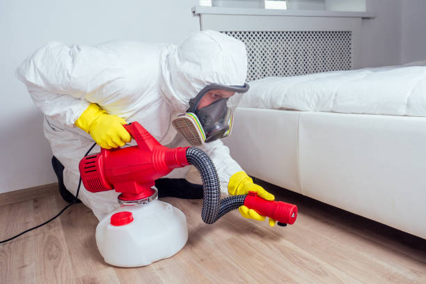 Best Commercial Pest Control Services  in Boulder City, NV