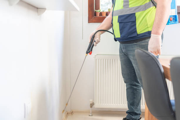 Best Exterminator Services  in Boulder City, NV