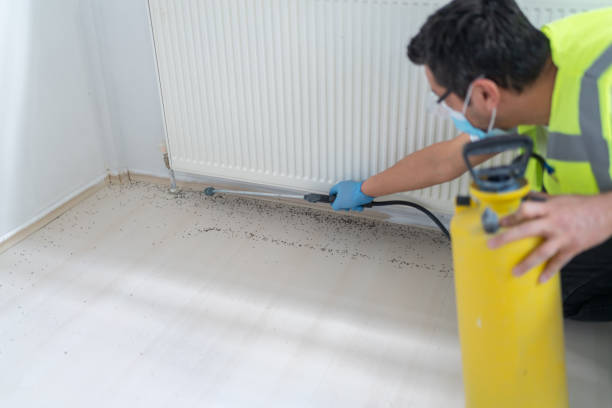 Best Bed Bug Extermination  in Boulder City, NV