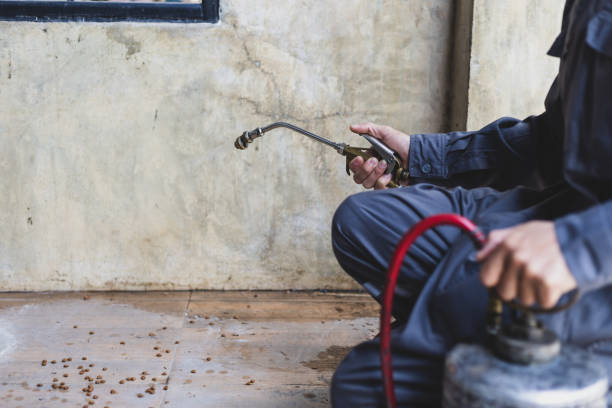 Trusted Boulder City, NV Pest Control Experts